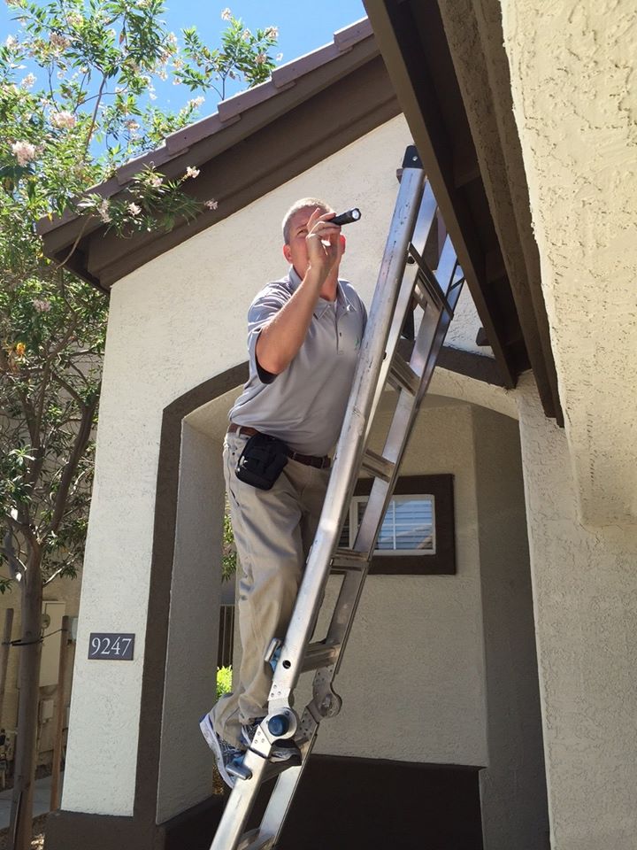 AMERIGO PROPERTY INSPECTIONS – Arizona's Trusted Home Inspection Company